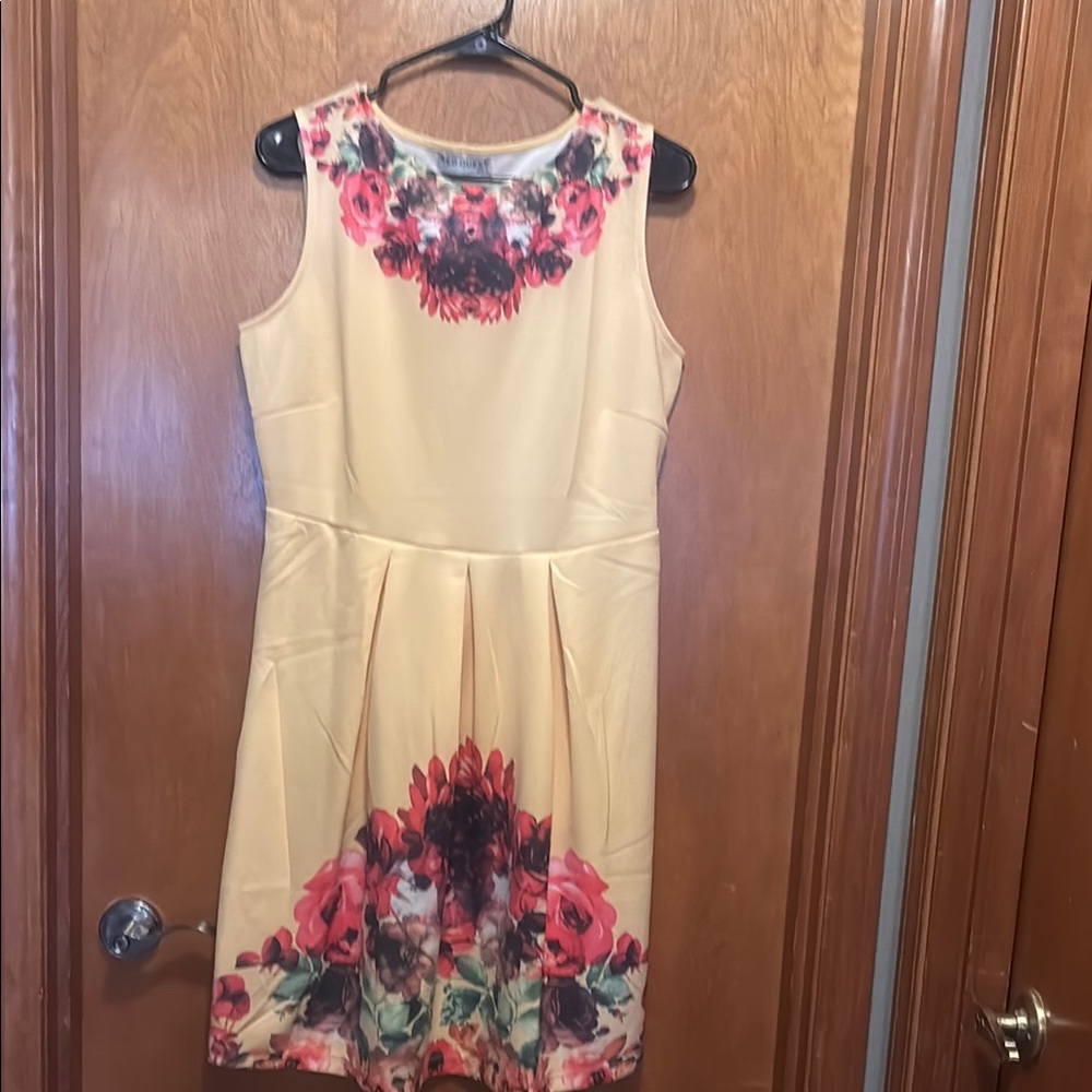 NWOT Red Queen Floral Sleeveless Dress